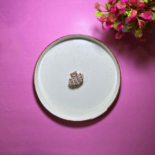 Givsy Metal Desing Hair Claws GSYHC011