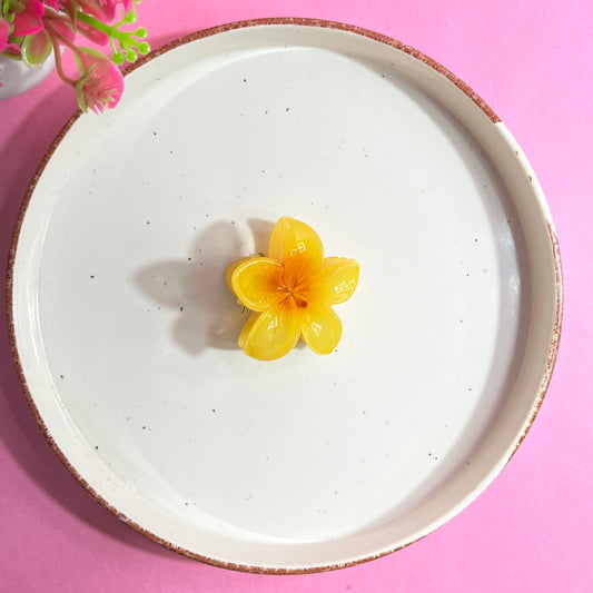 Givsy Trendy Hair Claws GSYHC0013